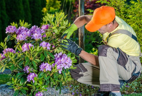 Garden clearance team removing overgrown shrubs in an urban backyard