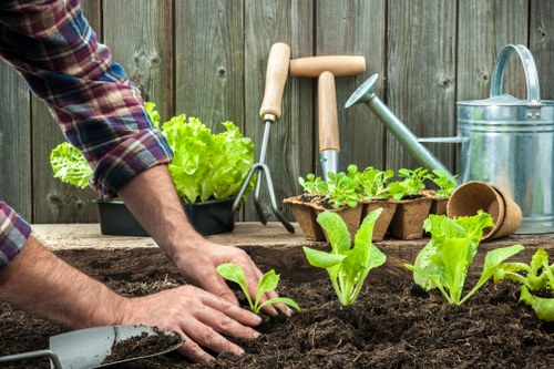 Expert gardeners working on a beautiful garden in Stockwell