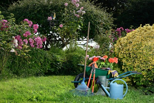 Detailed pruning of shrubs and trees by our team