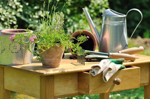 Lush green lawn being maintained by professionals