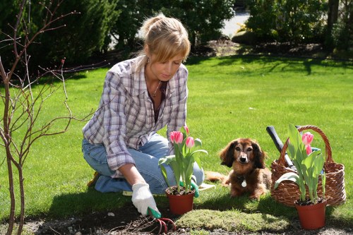 Gardener assessing a garden site with clipboard and protective gloves