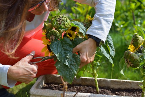 Sustainable gardening practices in action